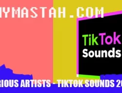 Various Artists – TikTok Sounds 2022